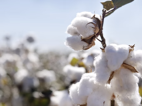How to Make Yarn: A Detailed Overview of the Yarn-Making Process