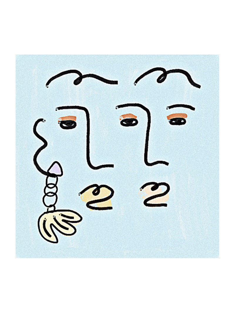 Double Face Pillow