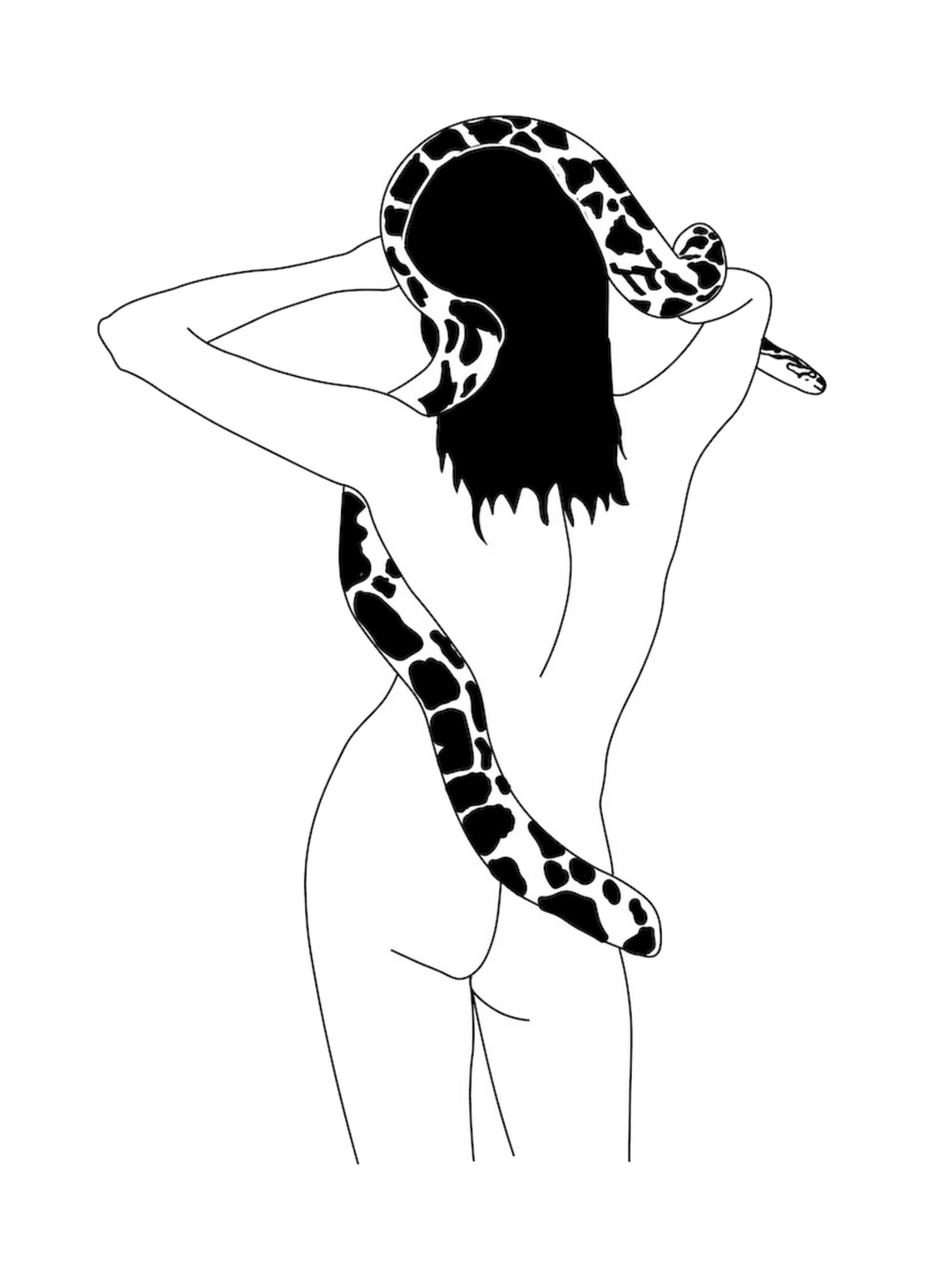 Snake- Pj- 2098-2