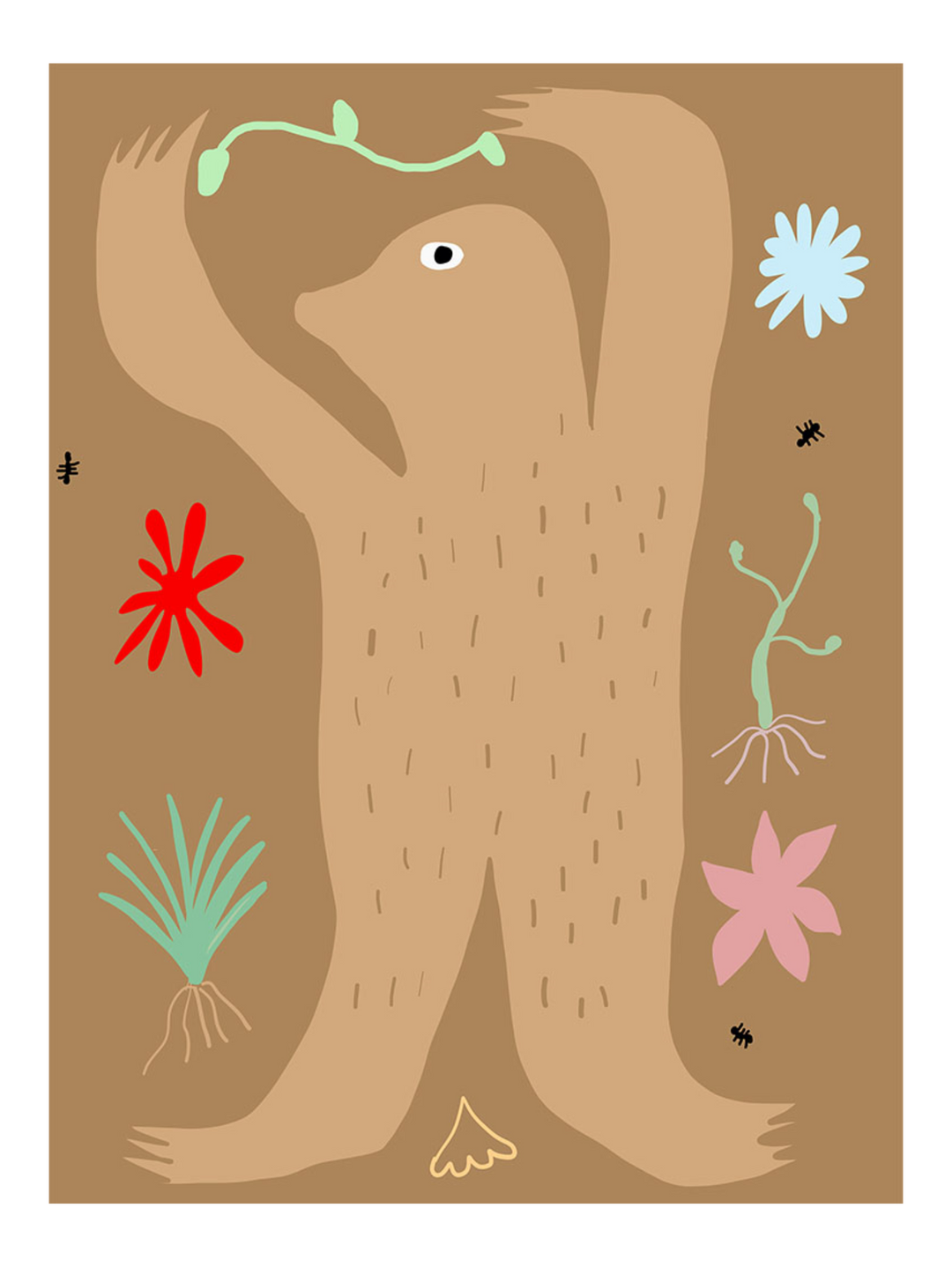 Mole- Pj- 2096-1