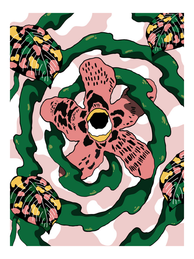 Parrish Blanket