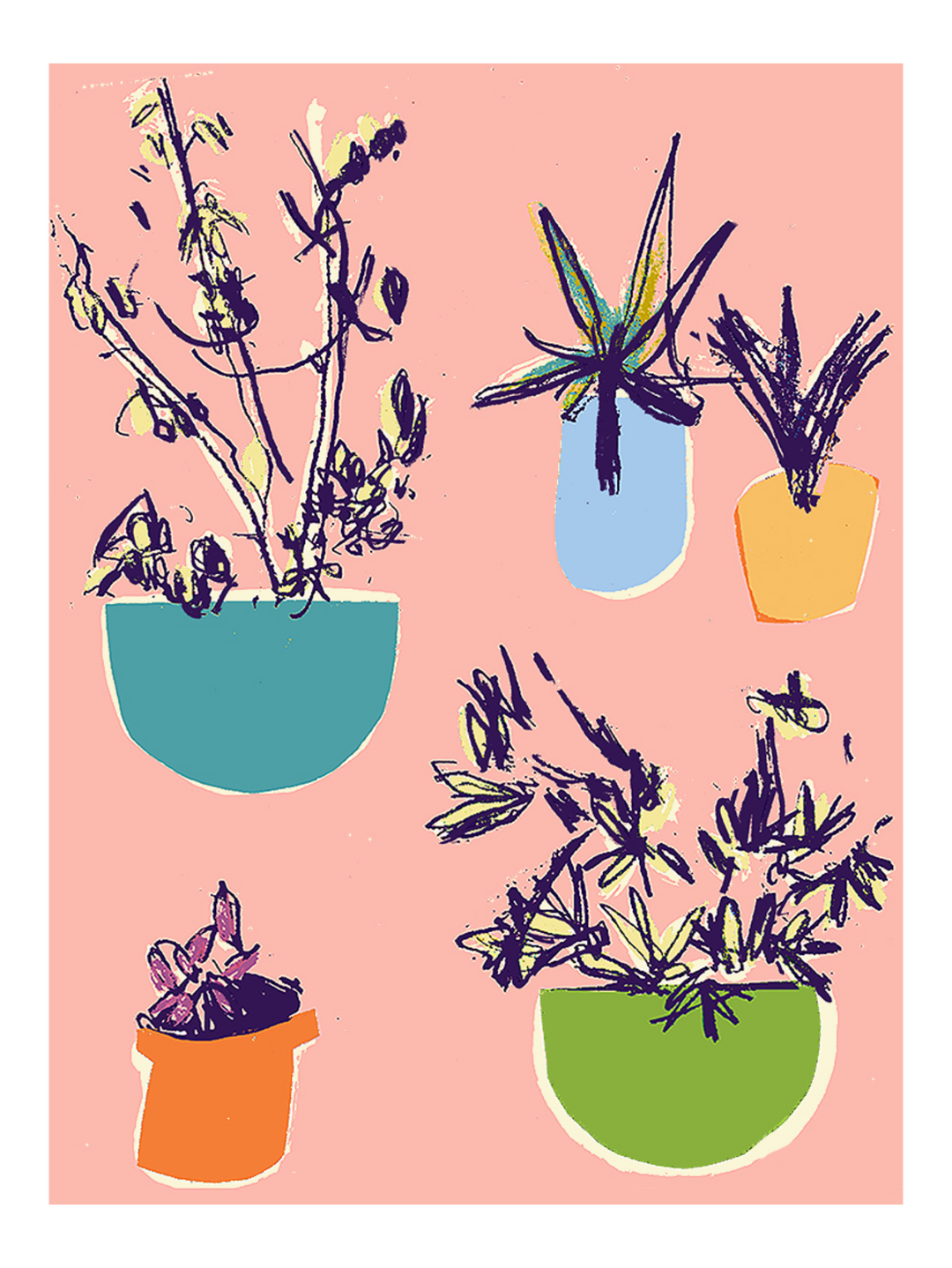 Plants On The Terrace  Pj-2145-1