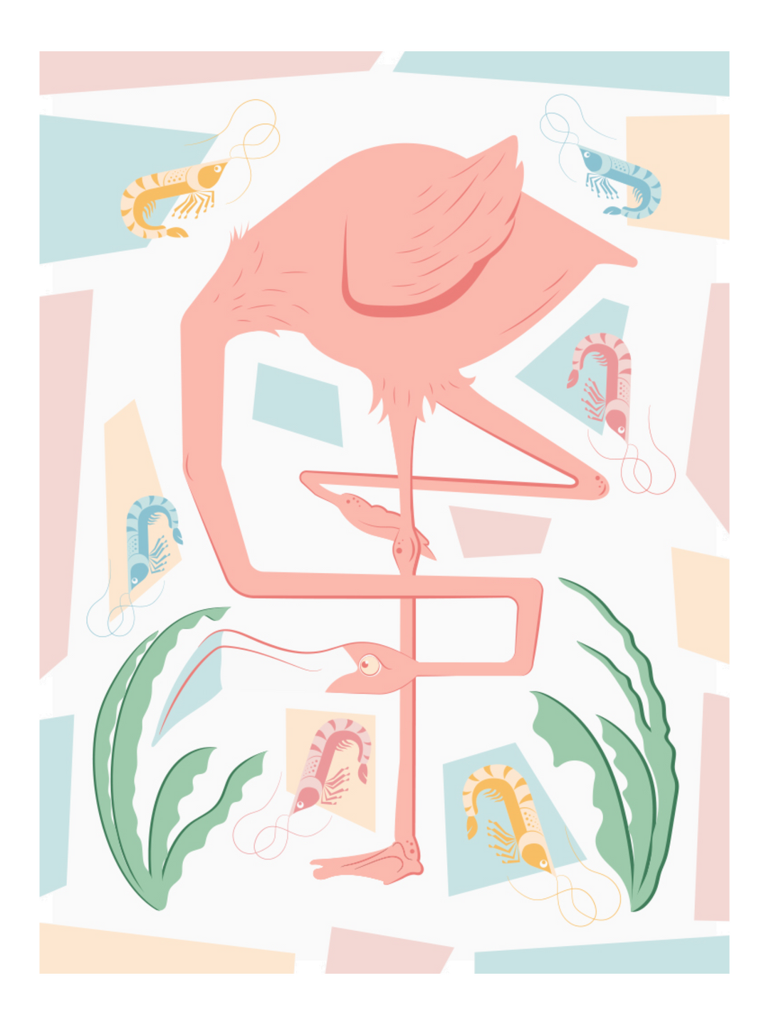 Flamingo - Pj-2491-1