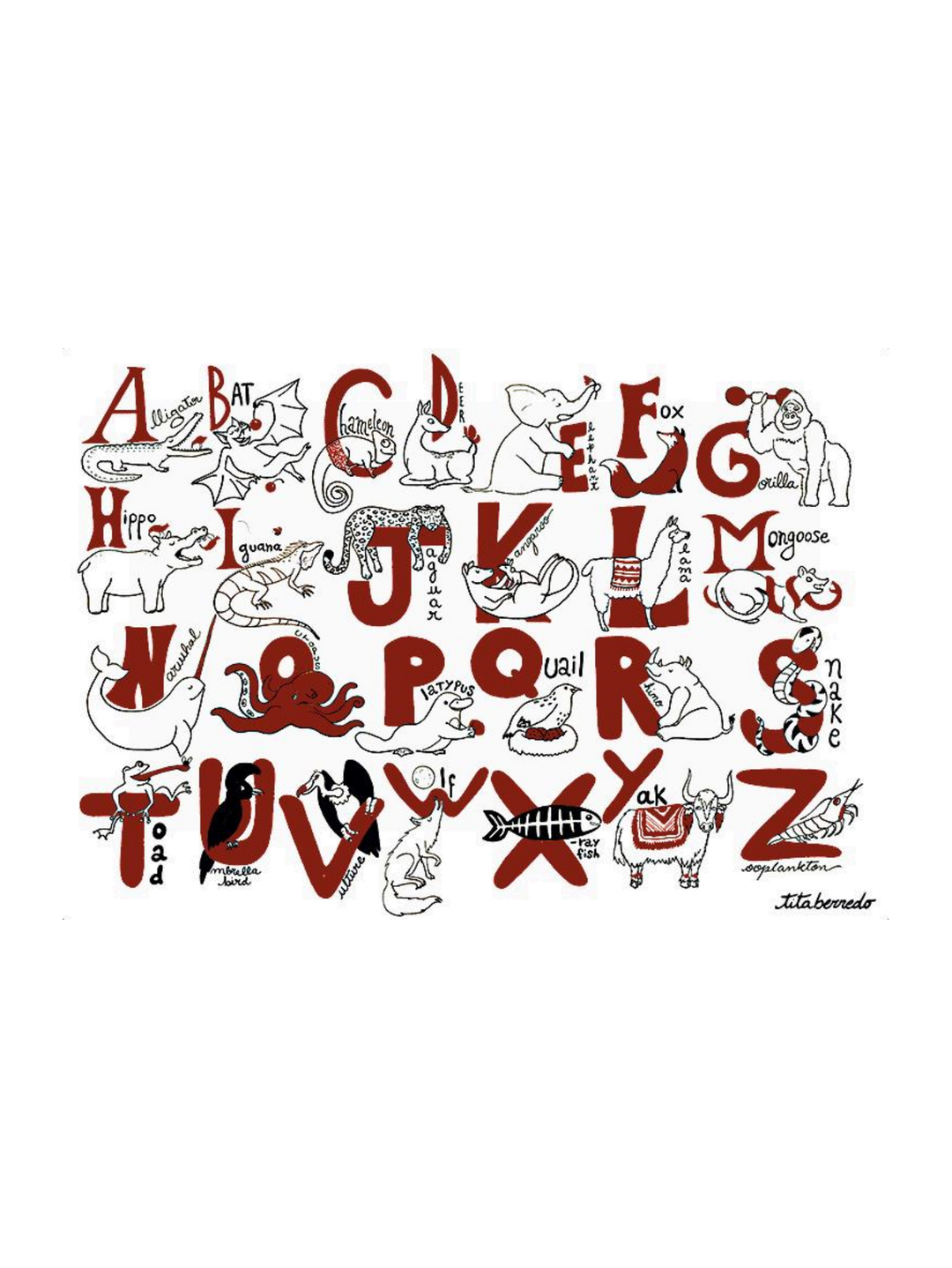 Animal Alphabet Small  Pj-2569