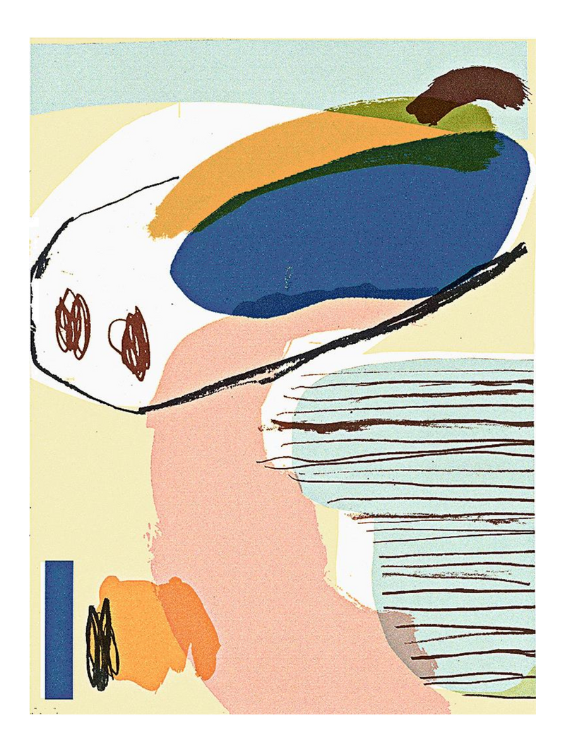 The Land 72 X 54