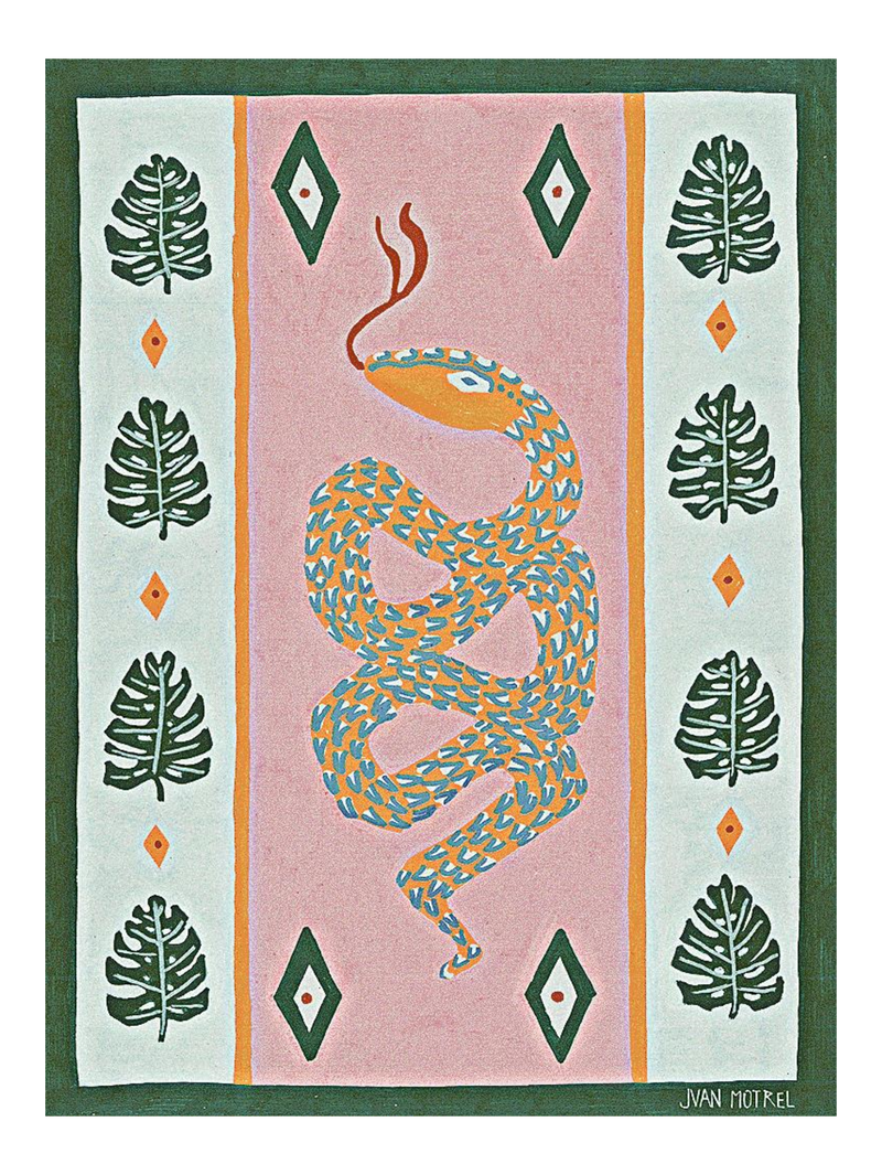 Serpent 72 X 54