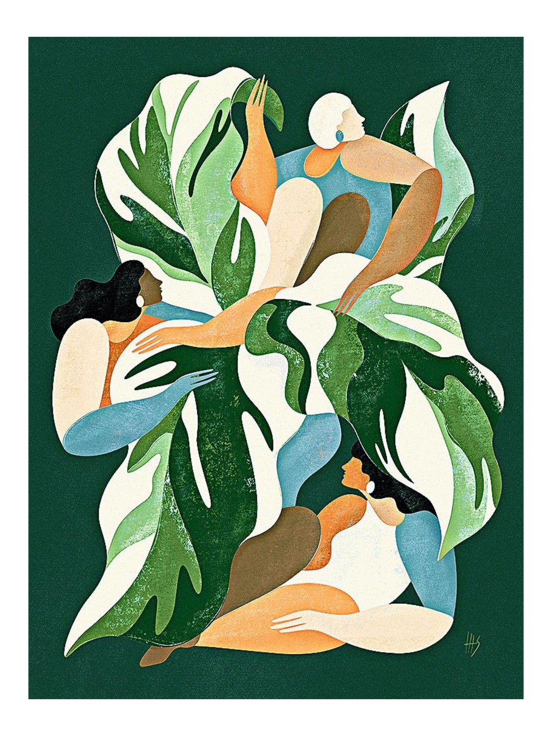 Calathea 1 72 X 54