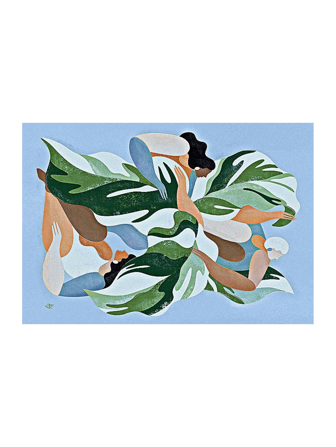 Calathea 54 X 37