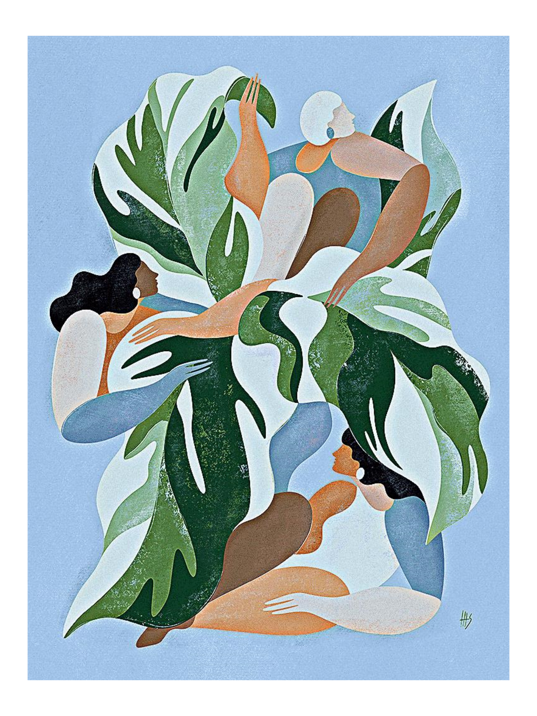 Calathea 72 X 54