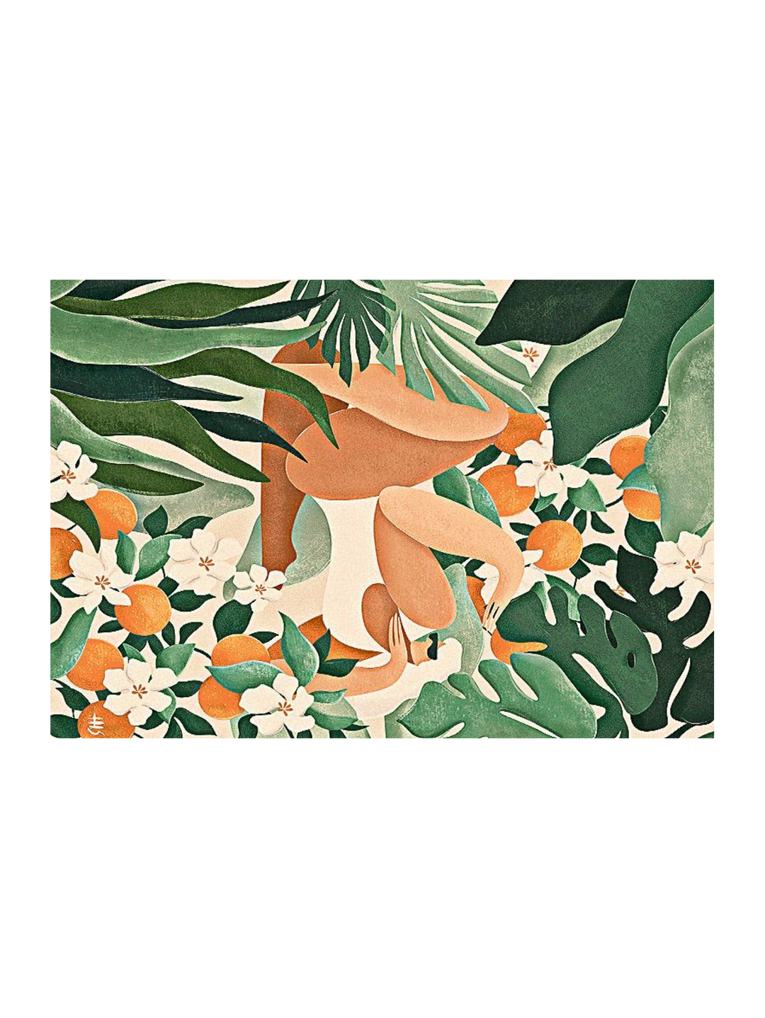 Plants Over Plans 54 X 38