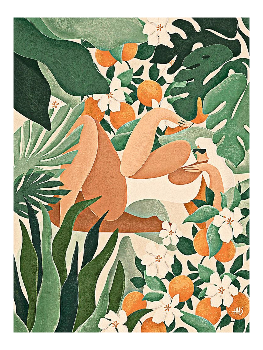 Plants Over Plans 72 X 54