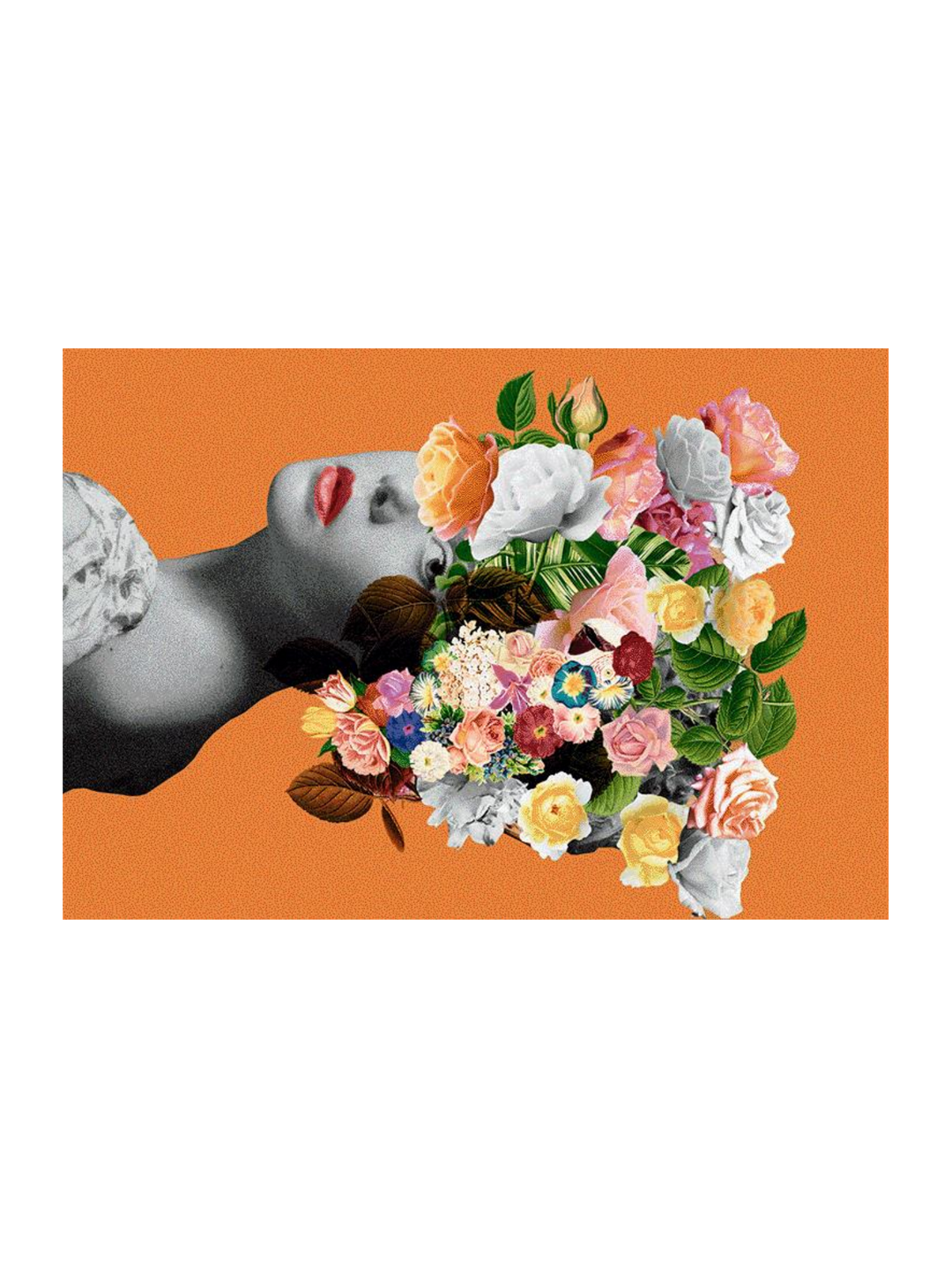 Orange Lady - Sm