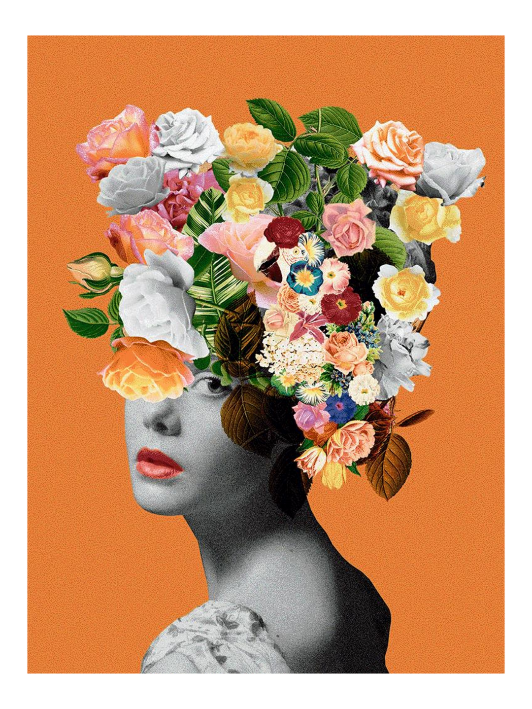 Orange Lady - Lg