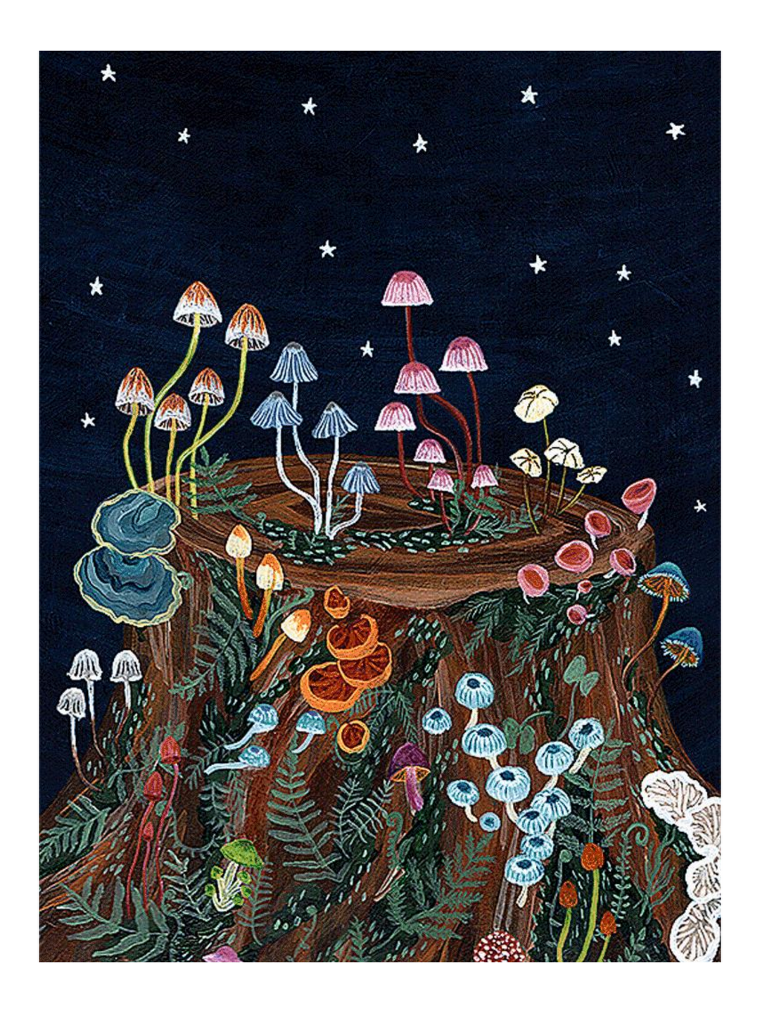 Mushroom Fireworks - Lg