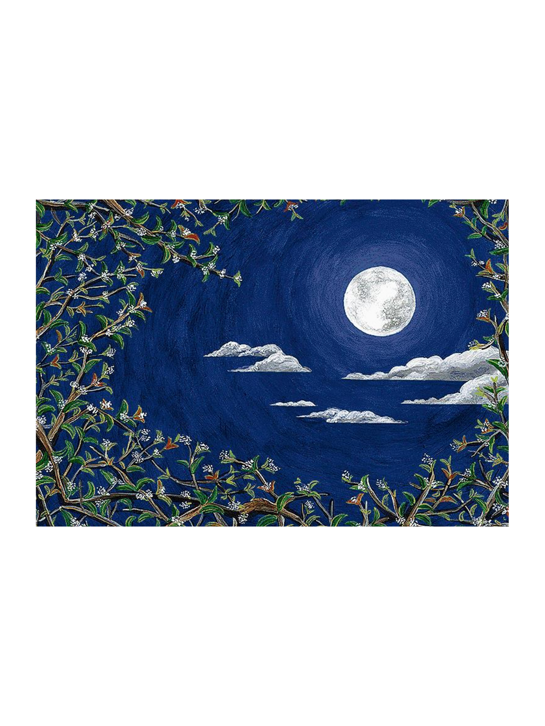 Osmanthus Moonlight Sonata - Sm