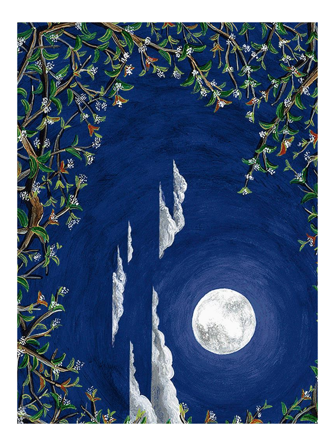 Osmanthus Moonlight Sonata - Lg