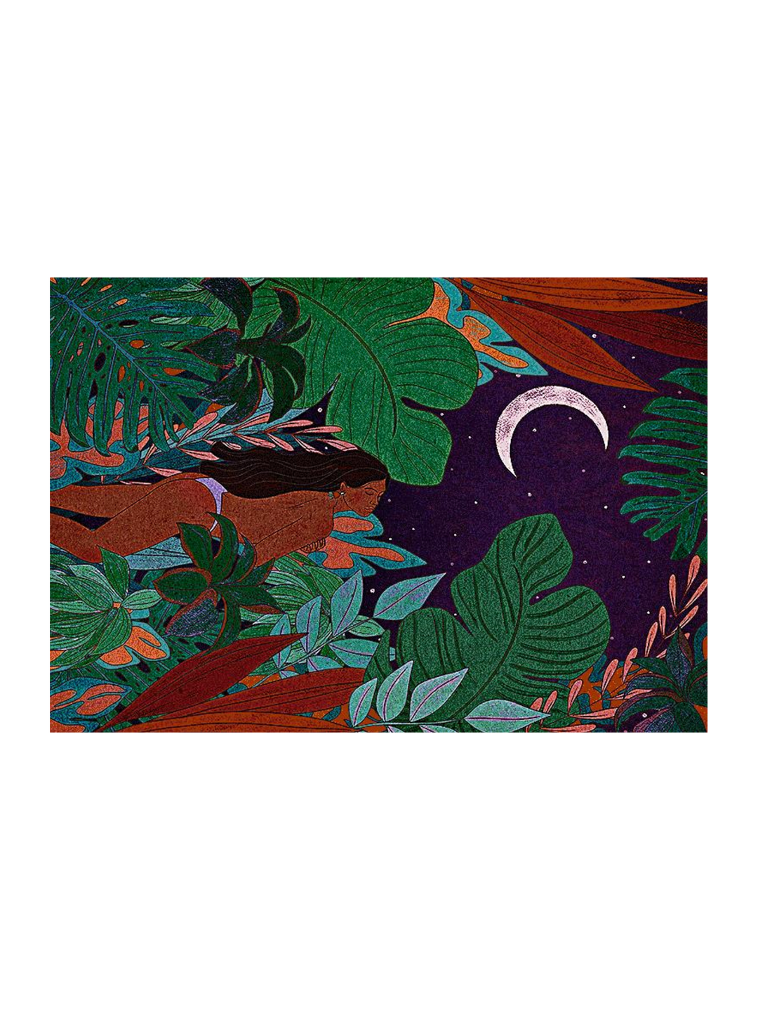 Jungle Beauty - Sm