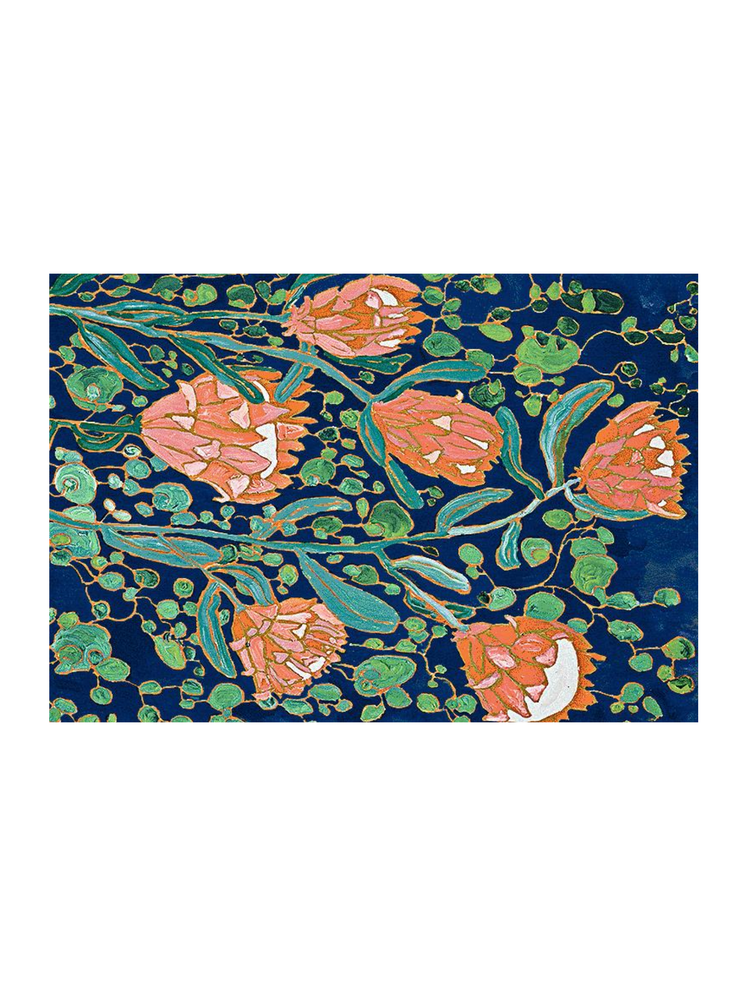Coral Proteas - Sm