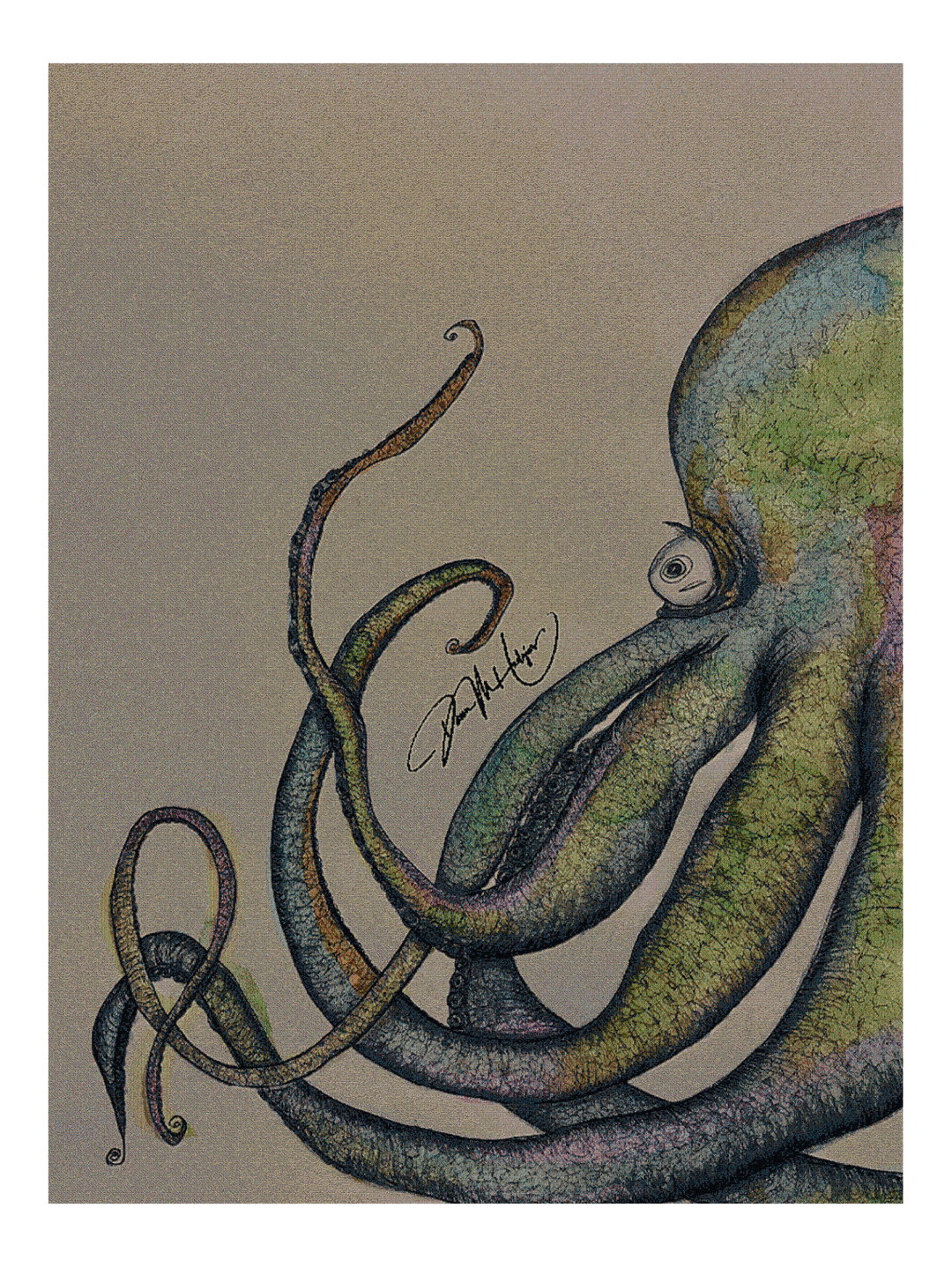 Owen The Octopus Blanket