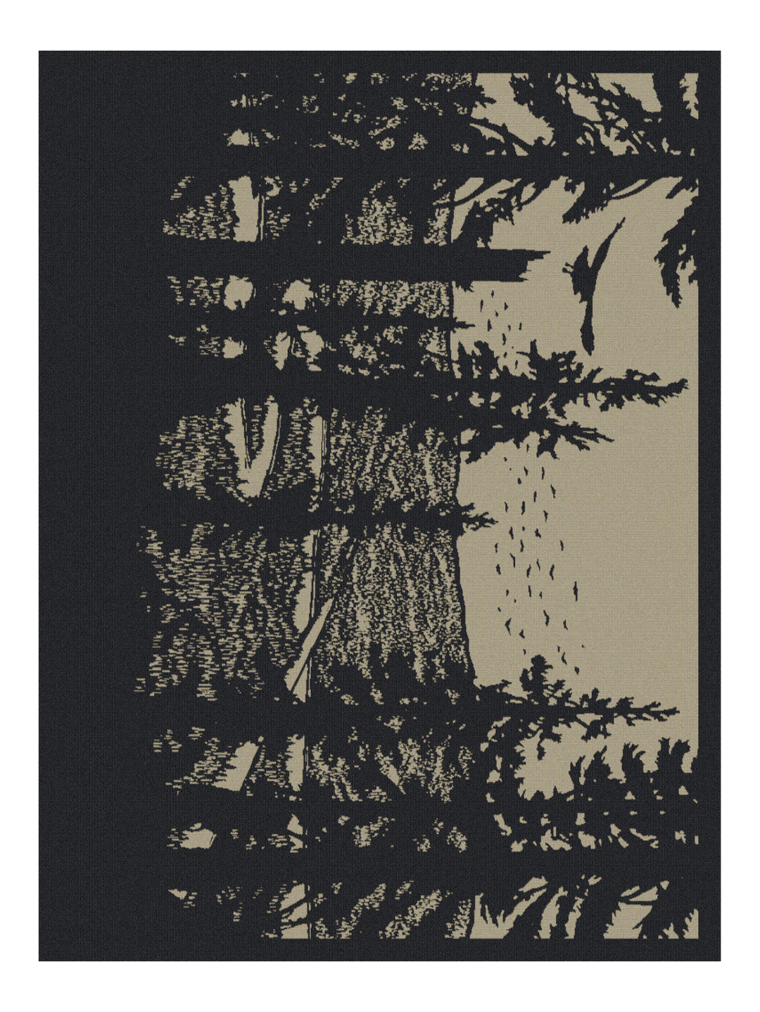 Amber Bryans Bw Landscape Blanket