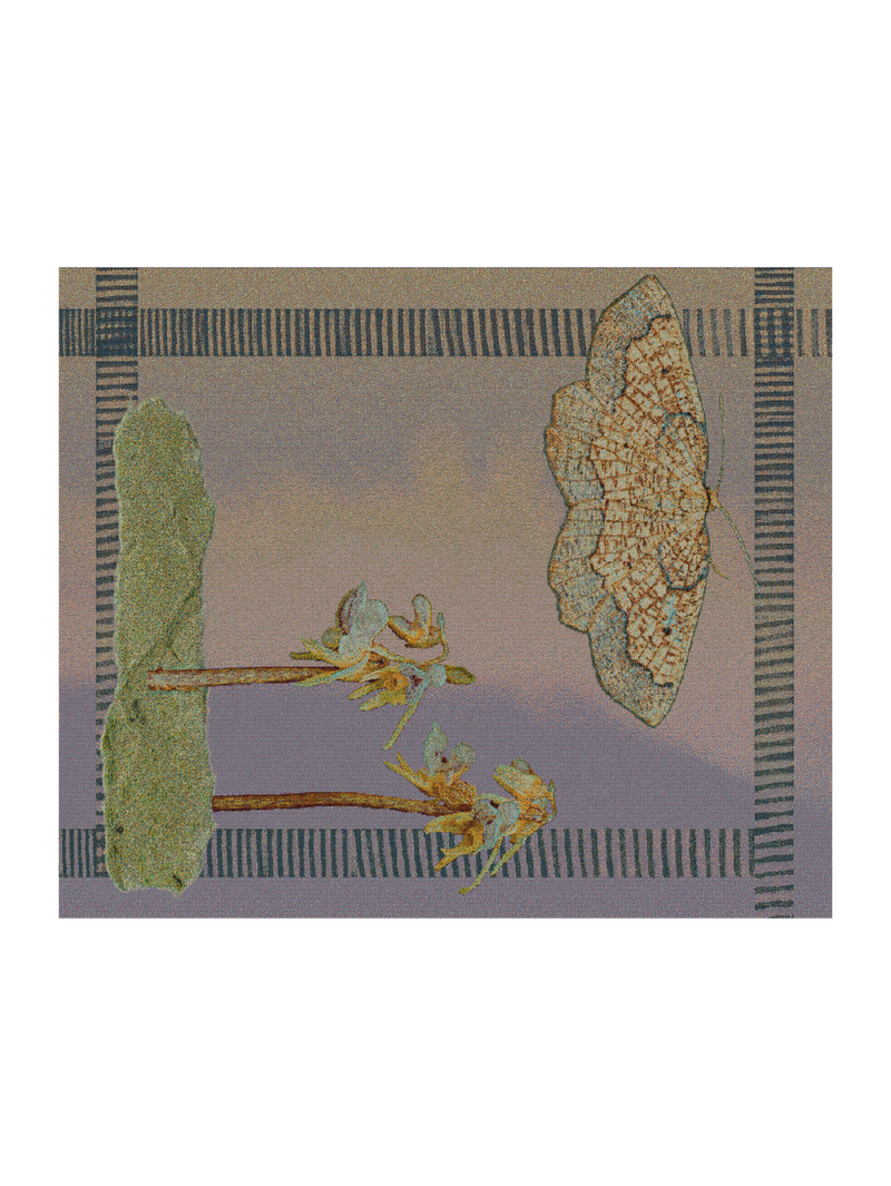 Ghost Orchid Yellow Fill Small Blanket