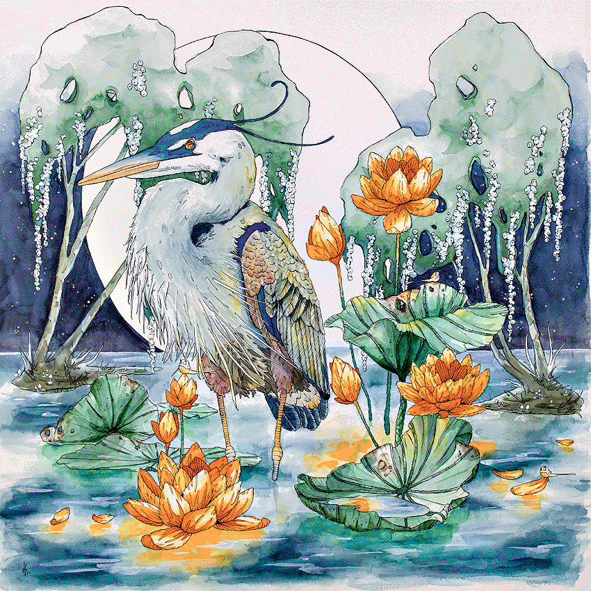 Square Waterfowl